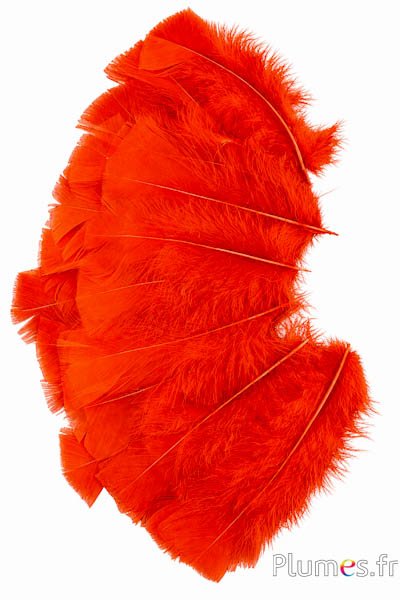 Kalkoen - 6-8 cm - oranje rood